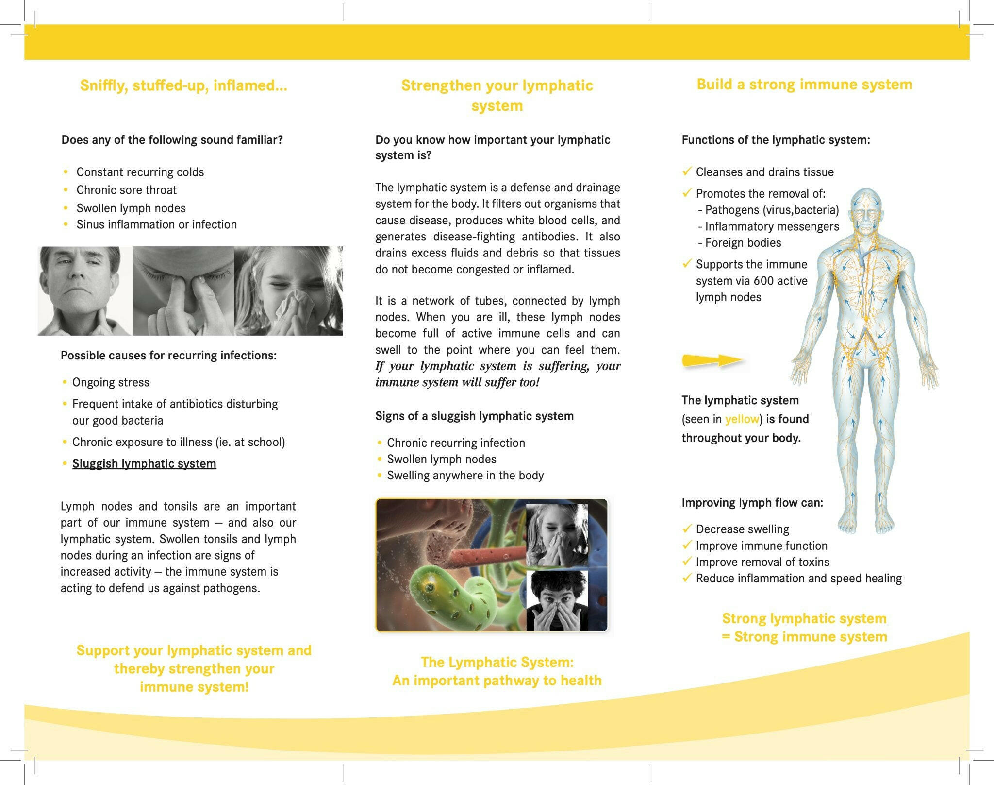 Lymphdiaral® Drops | Pascoe® | 50 mL - Coal Harbour Pharmacy