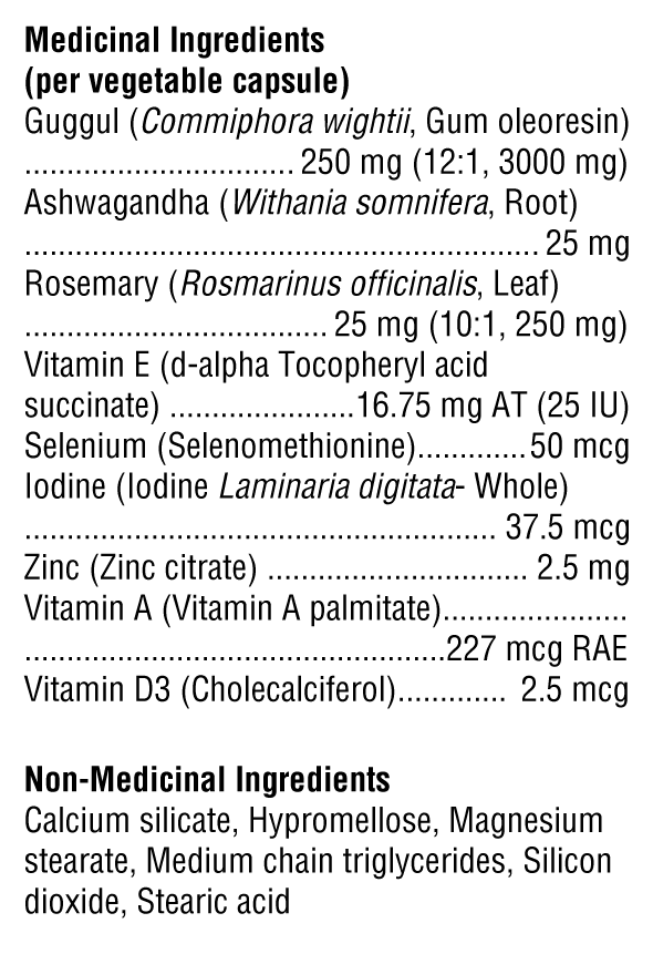 MedCaps T3™ | Xymogen® | 120 Capsules - Coal Harbour Pharmacy