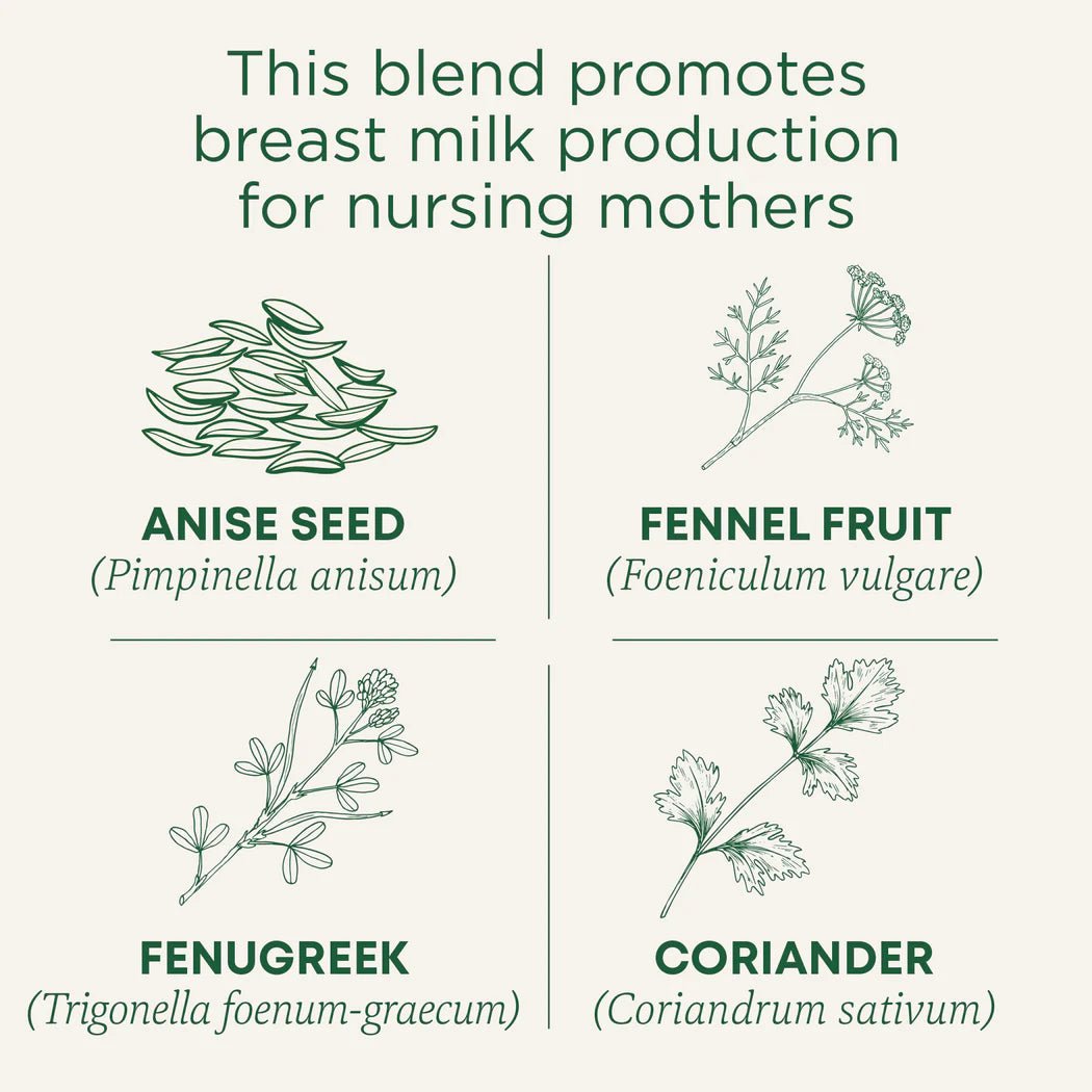 Organic Mother’s Milk® Tea | Traditional Medicinals® | 16 Tea Bags - Coal Harbour Pharmacy