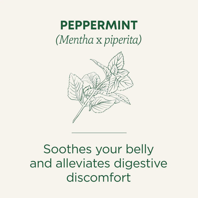Organic Peppermint Tea, Traditional Medicinals®