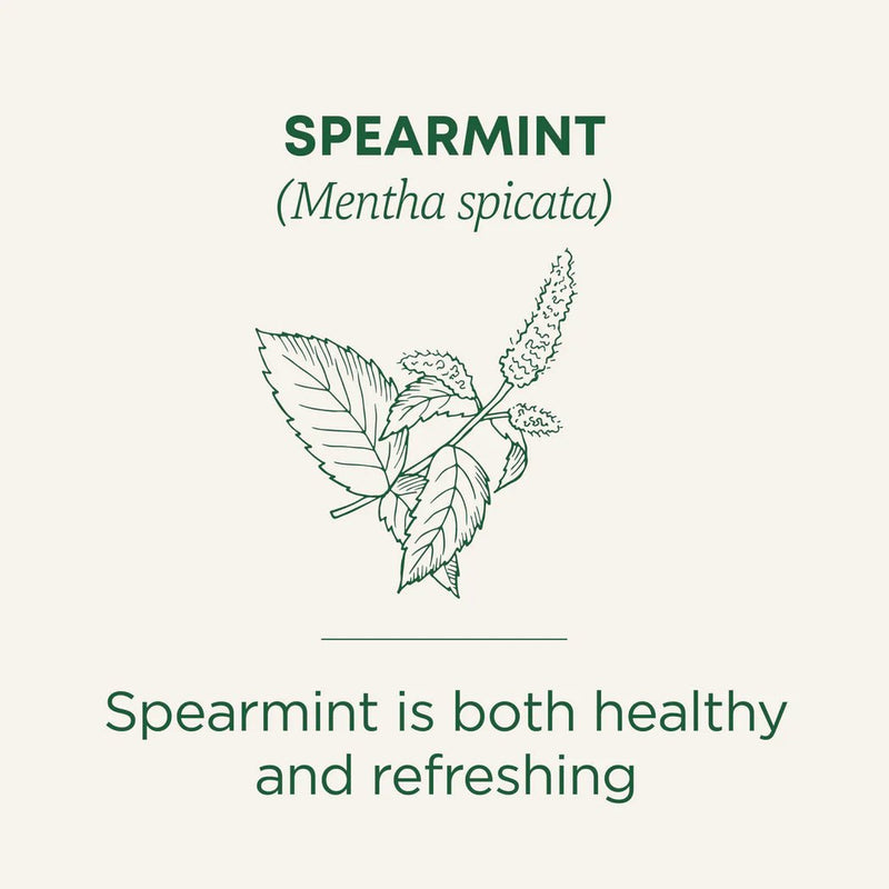 Organic Spearmint Tea | Traditional Medicinals® | 16 Tea Bags - Coal Harbour Pharmacy
