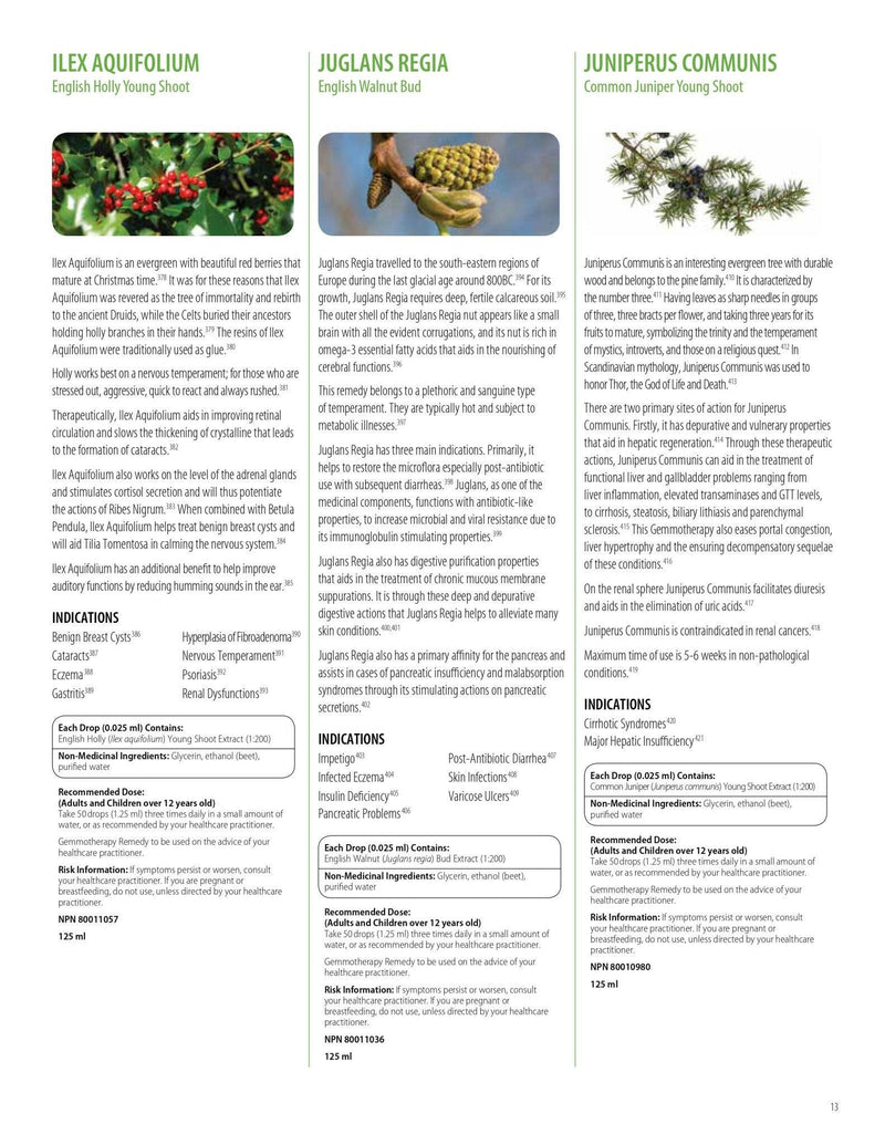 Rubus Idaeus | UNDA Gemmo | 125 mL (4.2 fl oz) Liquid - Coal Harbour Pharmacy