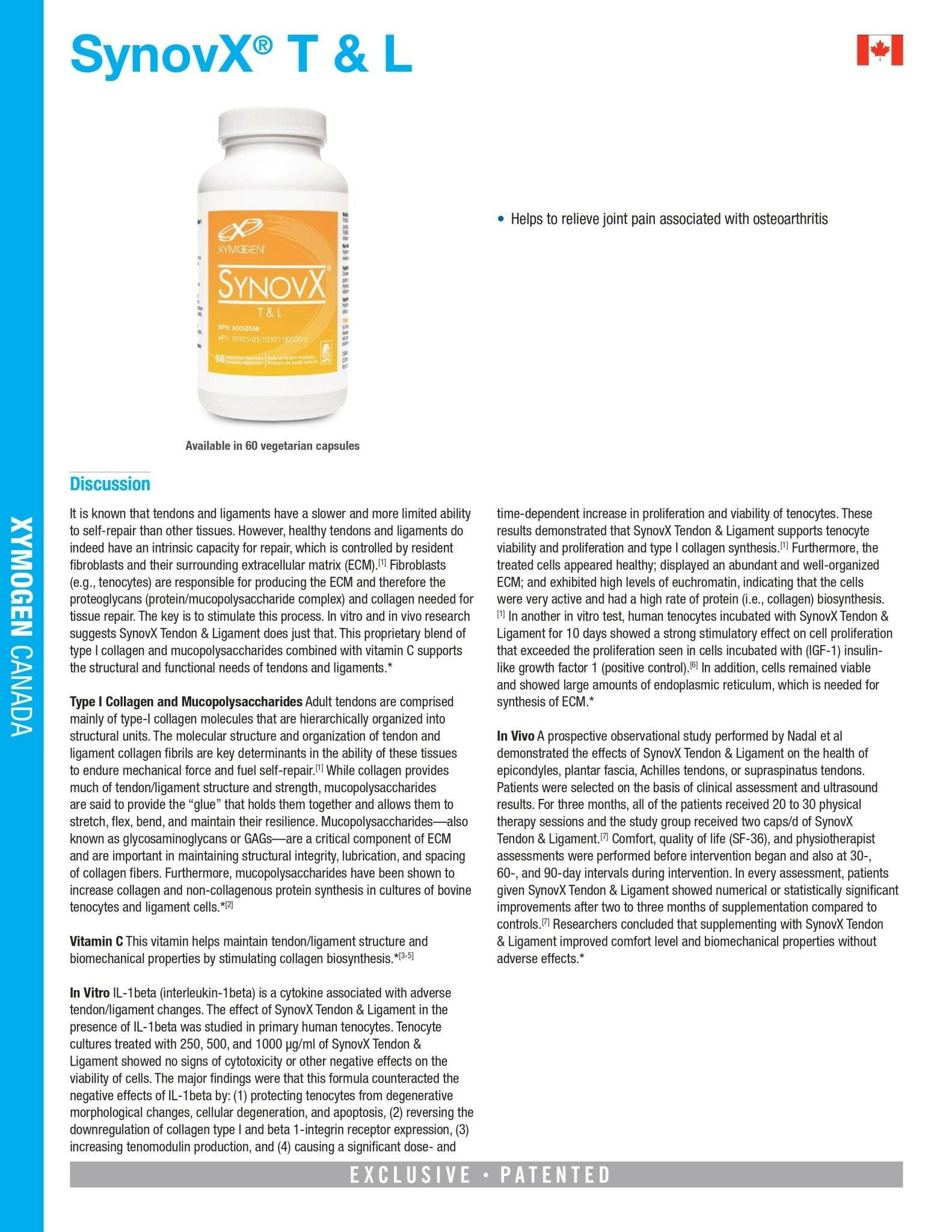 SynovX T & L | Xymogen® | 60 Capsules - Coal Harbour Pharmacy