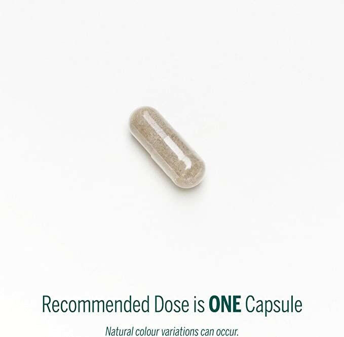 Vitex agnus-castus | Genestra Brands® | 60 Vegetable Capsules - Coal Harbour Pharmacy